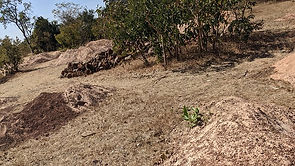 The soil of the Kondui B Community ~ Burkina Faso, West Africa