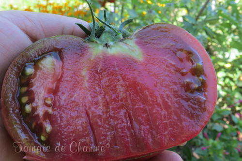 10 Graines De Tomate Rare Budenovka Tomato Seeds Graines De