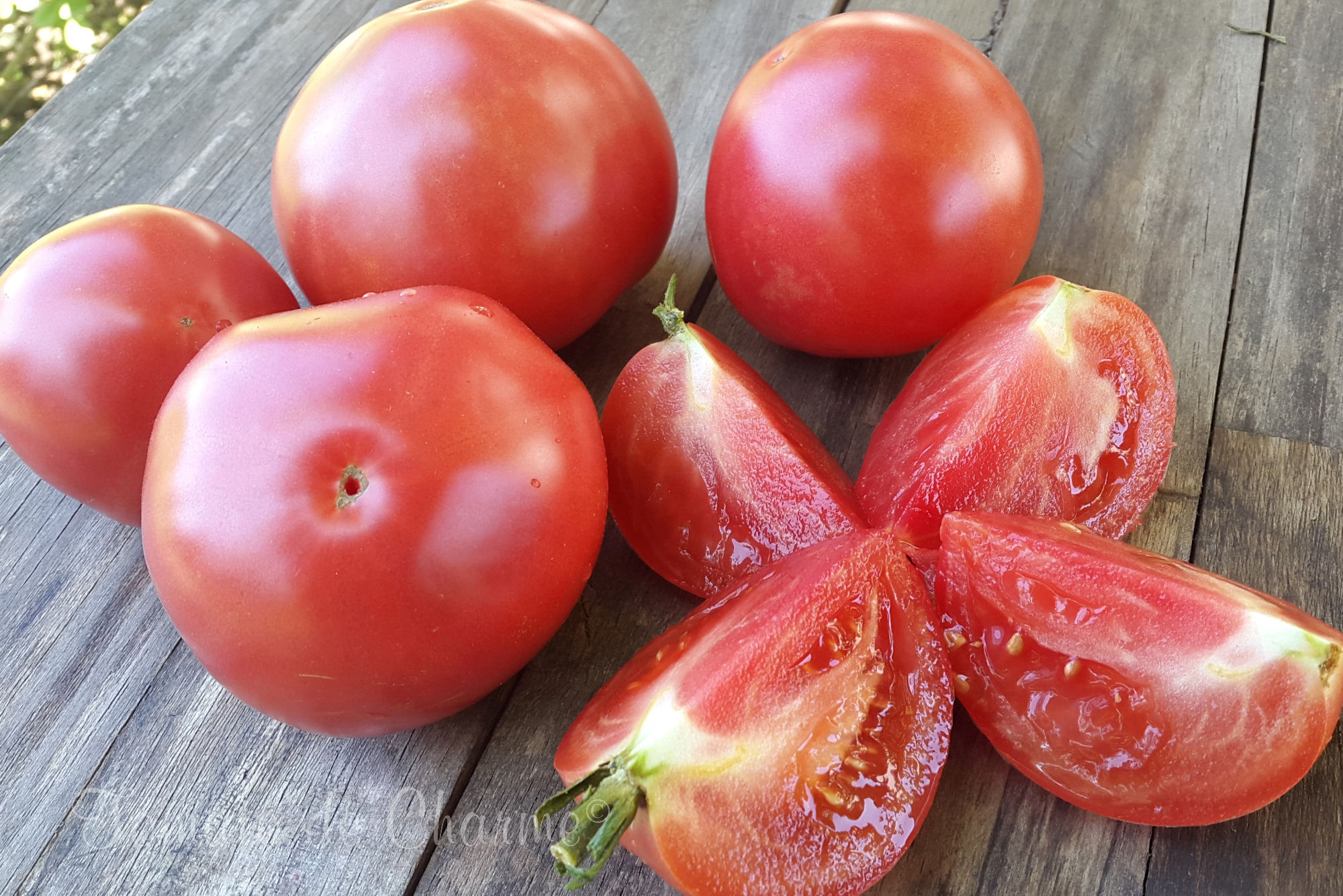 Pommes de Sibérie - Yabloki Sibiri (rec.2019)