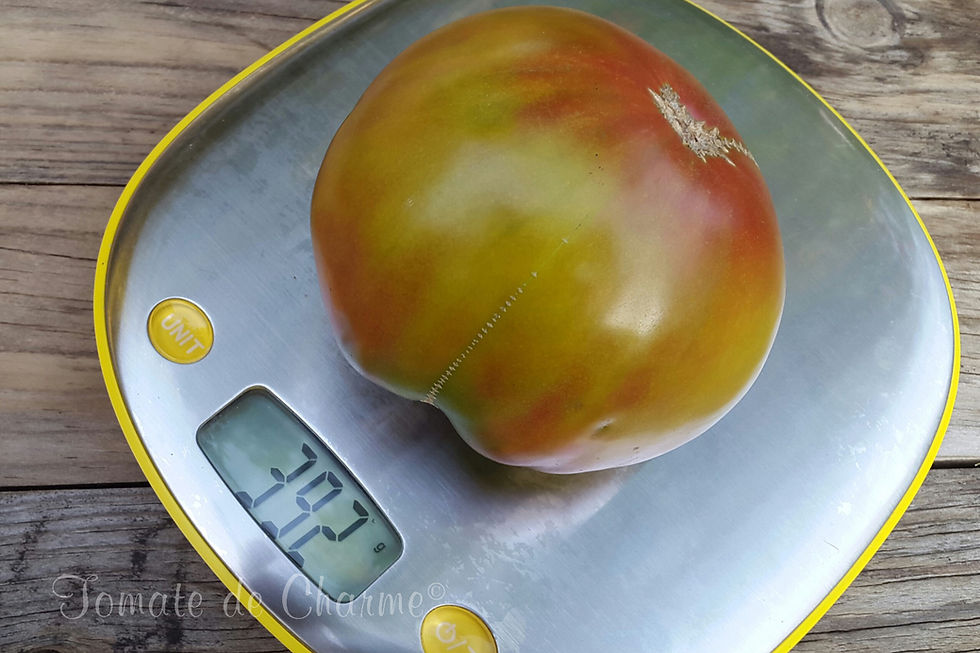 Miniatura: Red Target