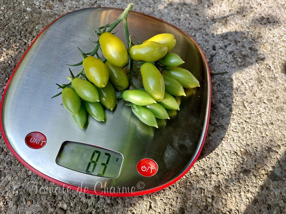 Миниатюра: My Dancing green fingers