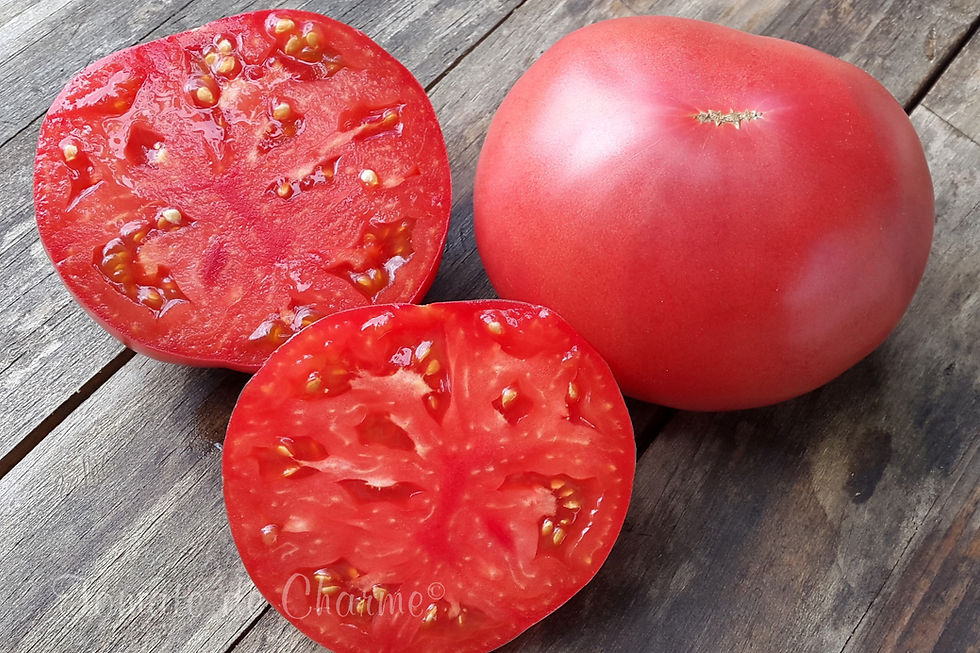 Thumbnail: Géante de Novikov