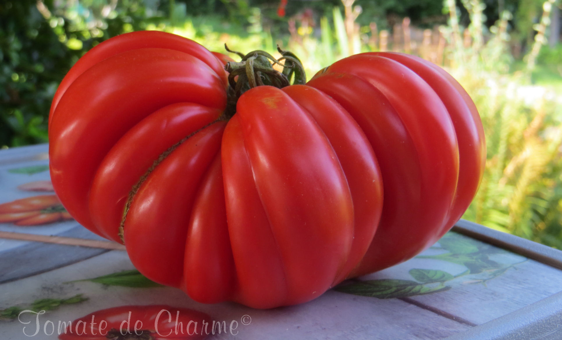 Mushroom Basket - Gribnoye Lukoshko