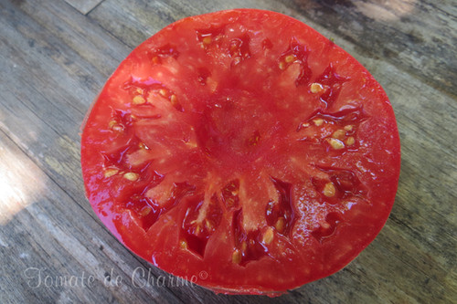 Tomate éléphant Noir - Chorny Slon - 10+ Graines - Graines De - Foto 3