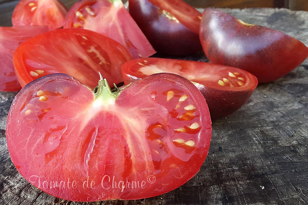 Миниатюра: Marmande Bleue