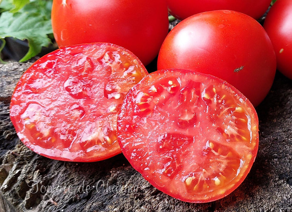 Miniatura: Kumir - Idole