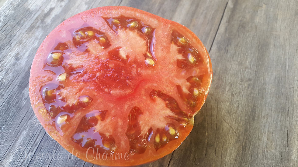 Miniatura: Lavender Lake  - Sirenevoe Ozero