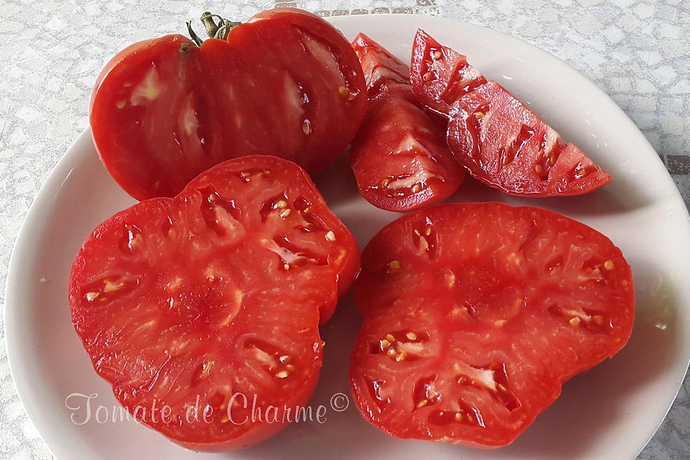 Thumbnail: Steak Russe