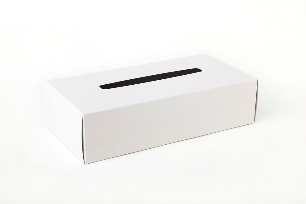 TISSUE BOX CASE WHITE