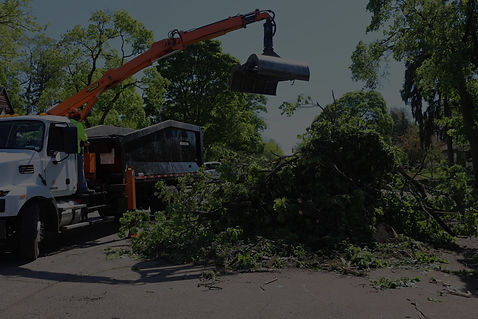 Storm-damaged-trees-being-removed-scaled_edited_edited.jpg