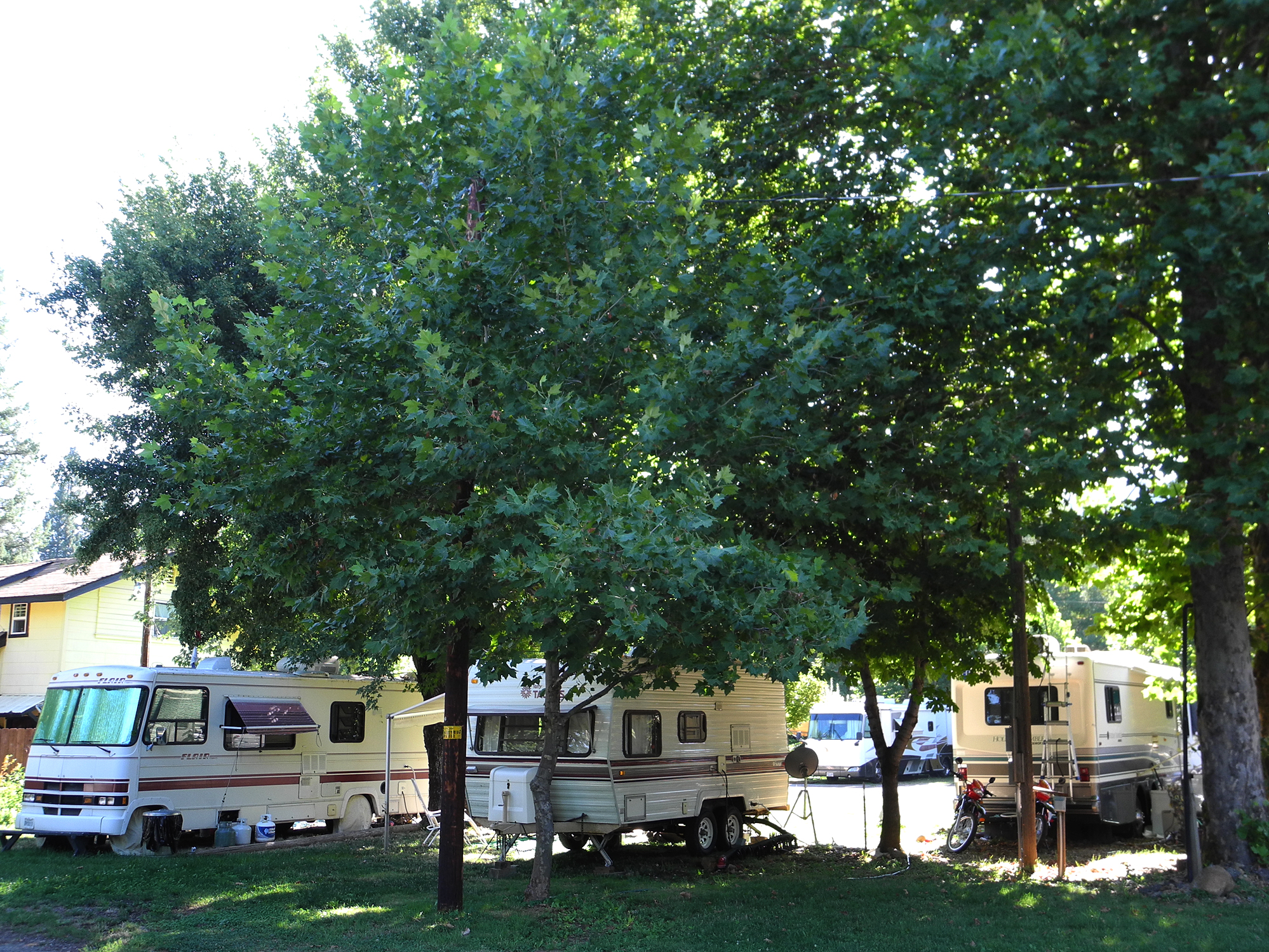 RV #15 RV's #2