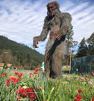 Bigfoot with red tulips 2 (2).jpg