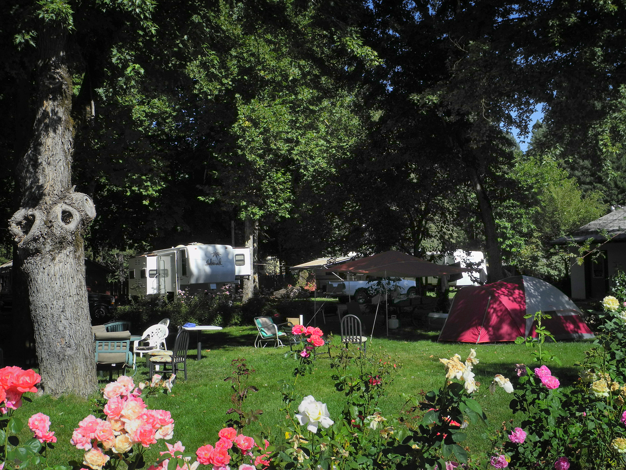 RV #3 Tent