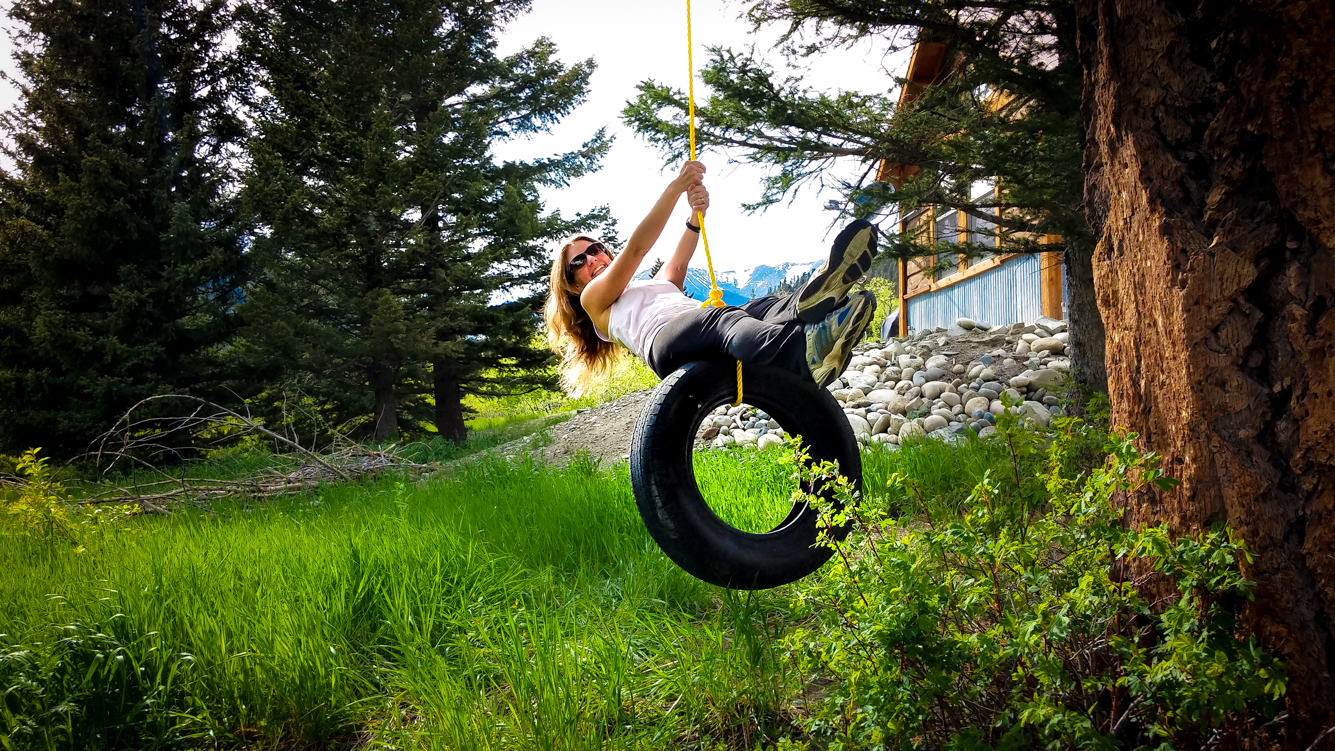 Tire Swing