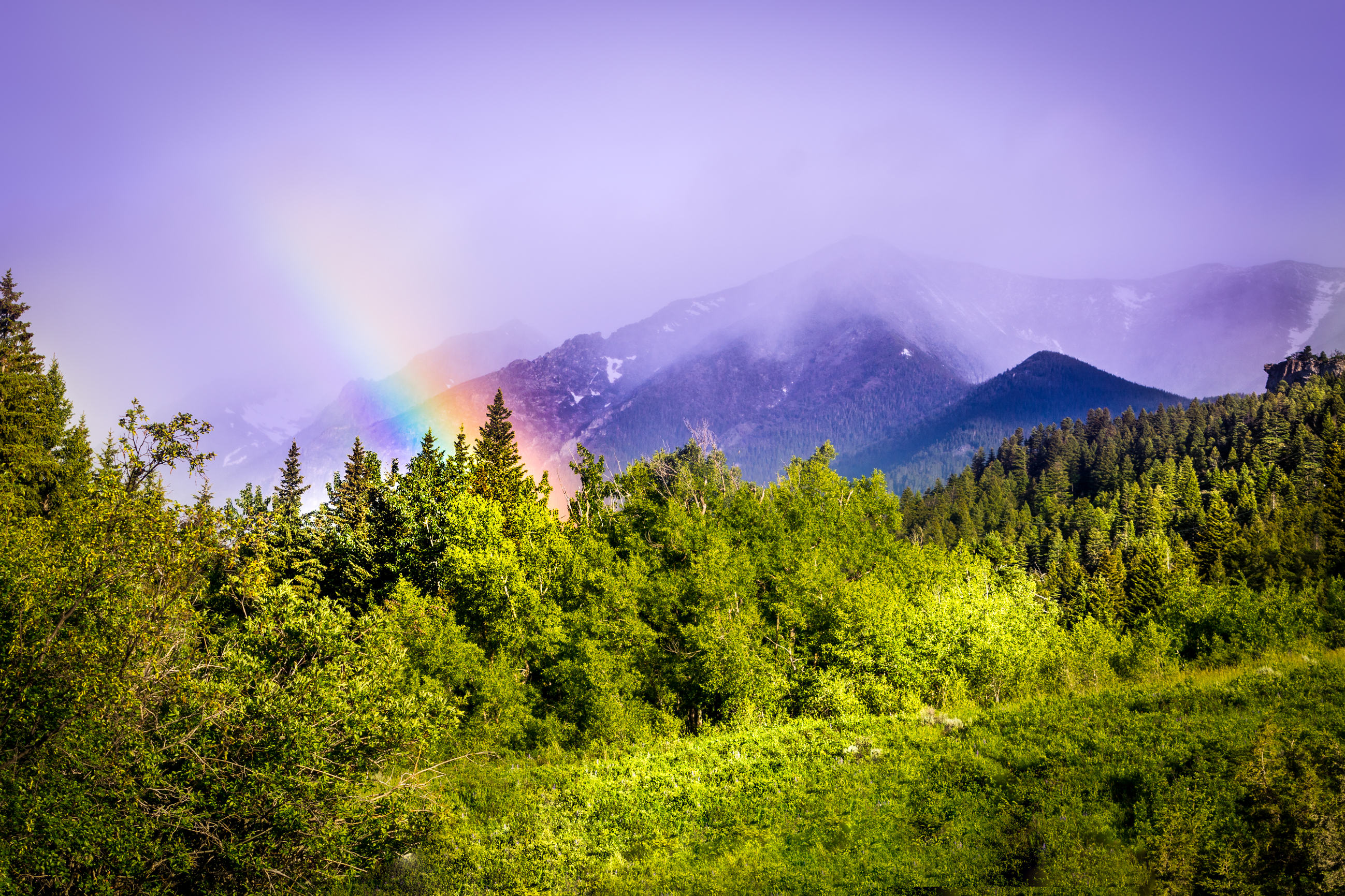 Rainbow viewed from Fisher Cabin