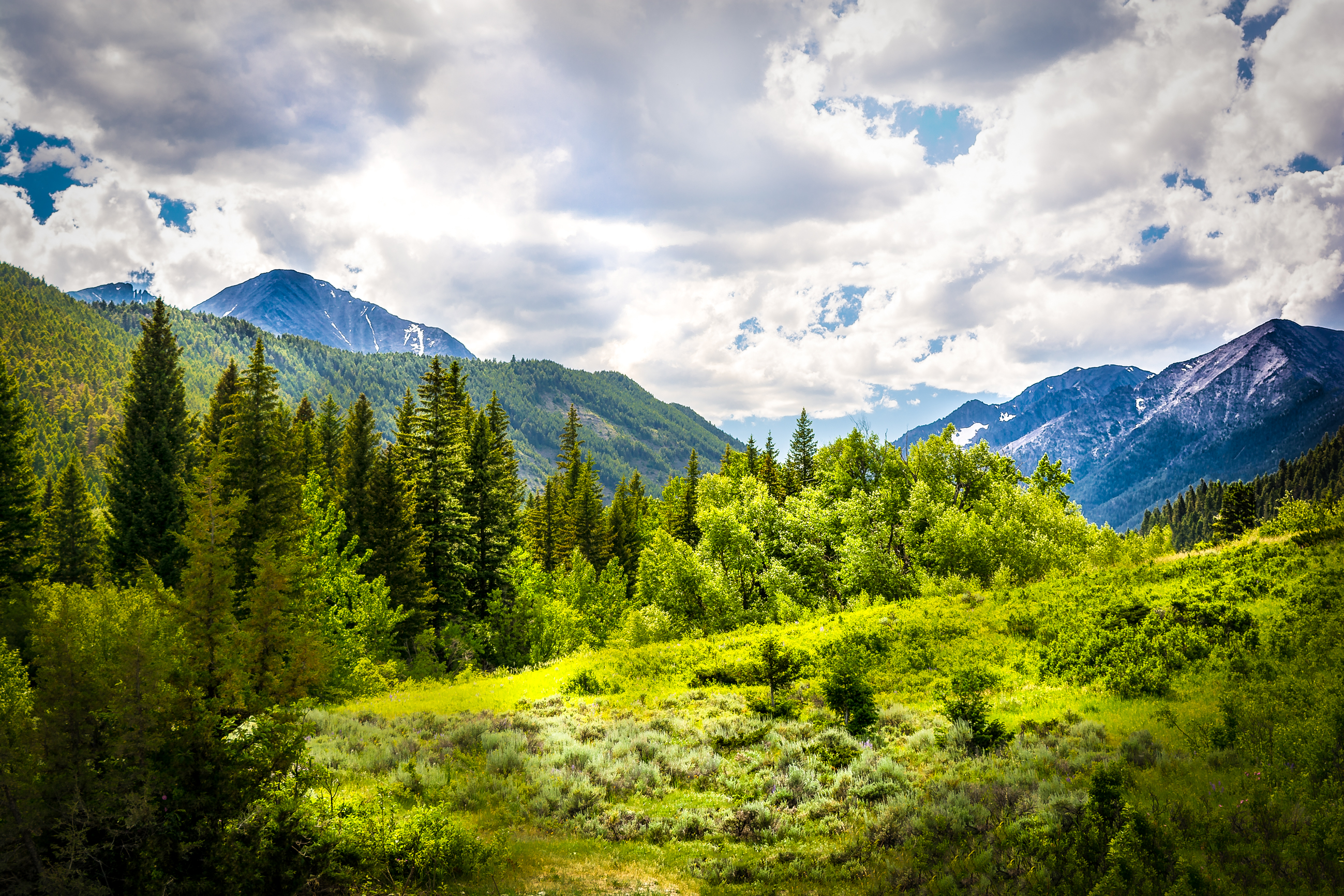View from Fisher Cabin