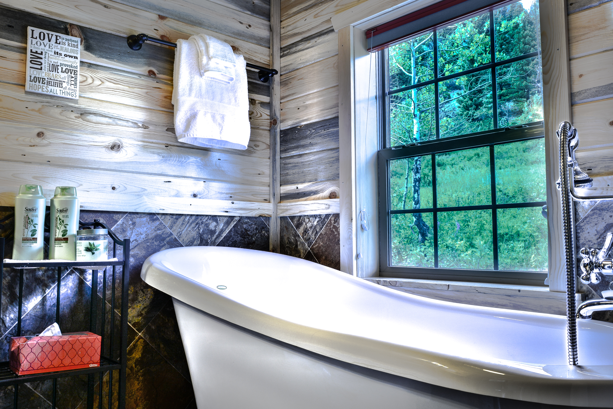Clawfoot Tub with Mountain Views