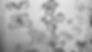 j-p-background-creativity-scaled.jpg