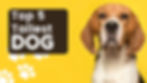 The Top 5 Tallest Dog Breeds in the World