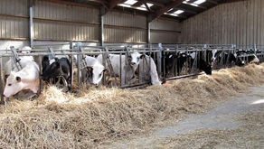 Manger local c'est soutenir l'agriculture française