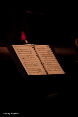 _MG_2434.jpg