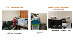 Slide35