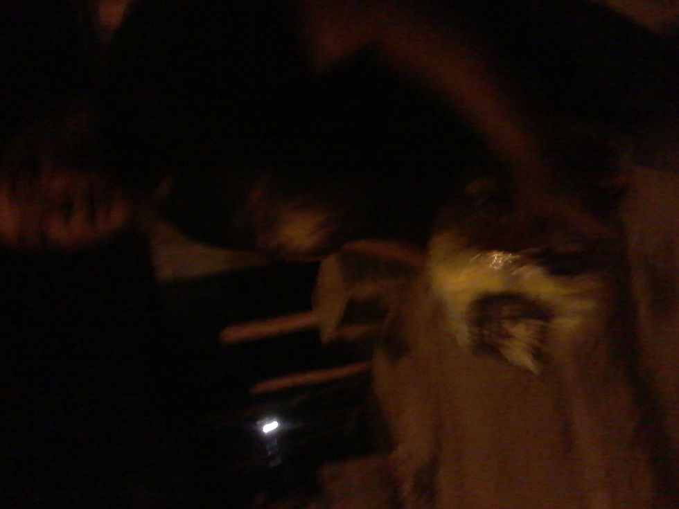1ª Cesta