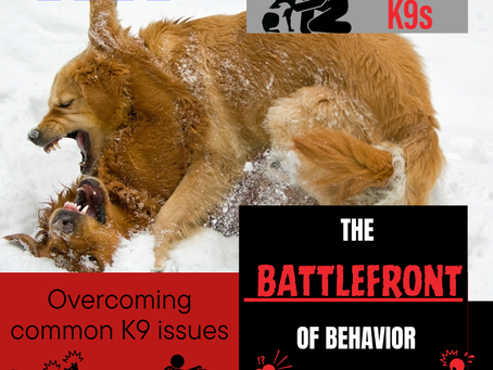 The Battlefront of Behavior