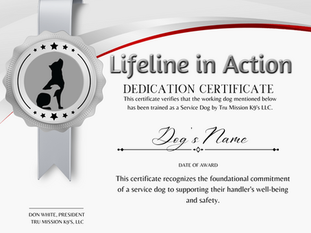 Empowering Service, Therapy, and Protection Dogs Through Certification: The Tru Mission K9 Advantage