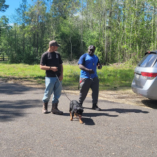 Tru Mission K9 working with Ivy