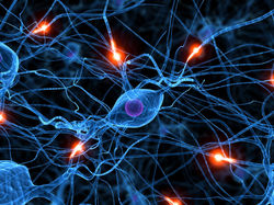 NEUROPSICOLOGY