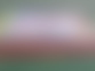 ミとフタの絵柄や文字を合わせた函