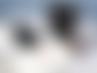 紙の箱と言えば貼り箱
