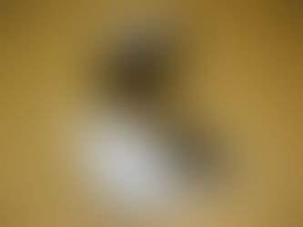 ちょっと作ってみました