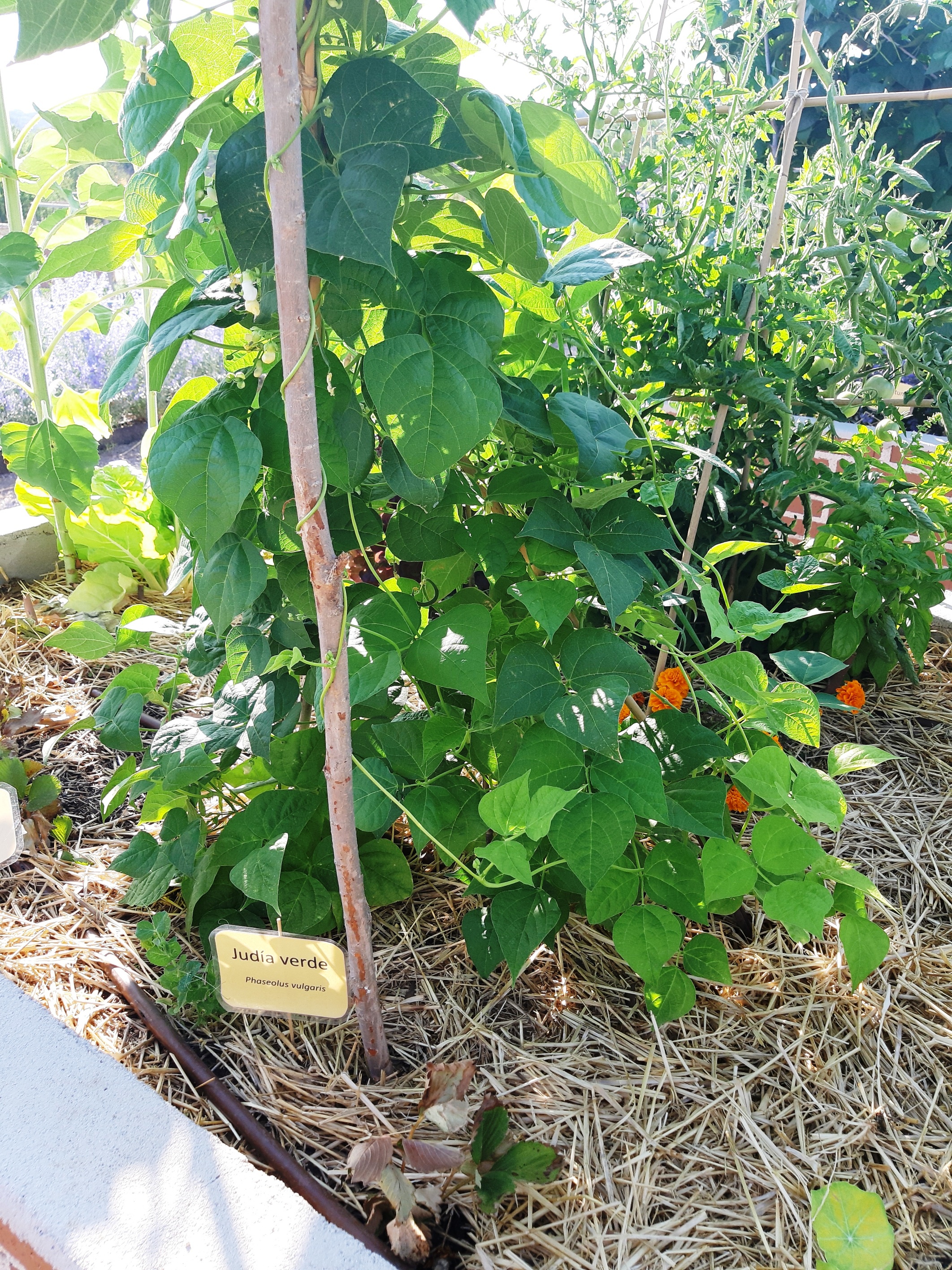 20190718_093347_resized