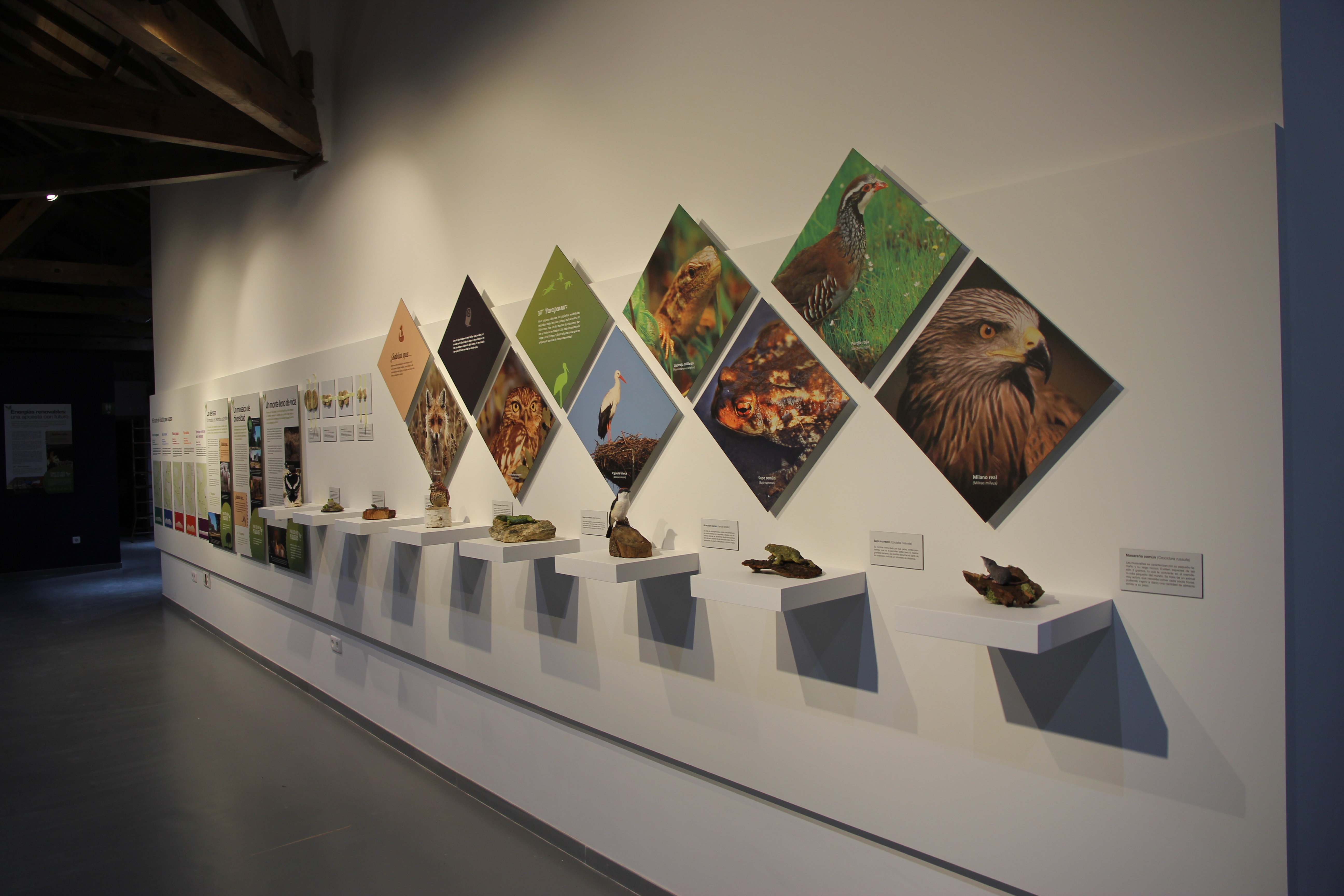 SERVAC_ Aula Medioambiental.jpg