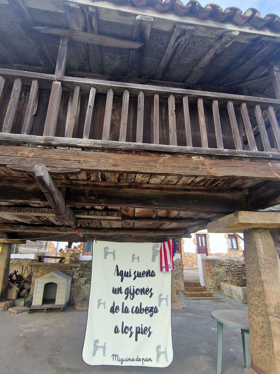 Miniatura: Manta "Gijonés"