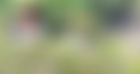 Motorista perde controle, capota caminhonete e morre na MT-170