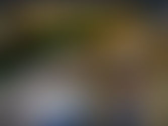 Câmera de segurança mostra motocicleta sendo furtado no centro no interior de MT