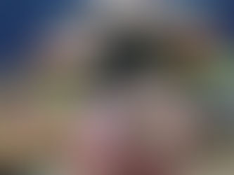 Faccionados são presos com brinquedos e doces que seriam distribuídos em comunidade