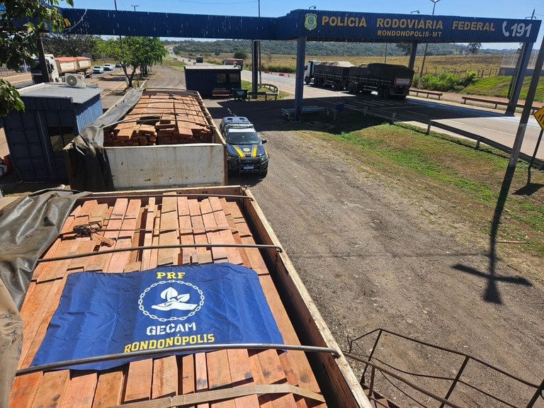 PRF apreende 51 m³ de madeira ilegal em Rondonópolis/MT