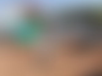 Proprietária de madeireira em Barra do Garças fala sobre prejuízo milionário