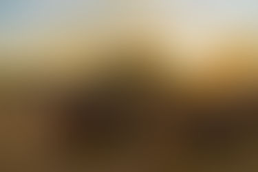 Cheiro de veneno, água contaminada e leite materno com resíduos: MPF cobra zona livre de agrotóxicos no Xingu