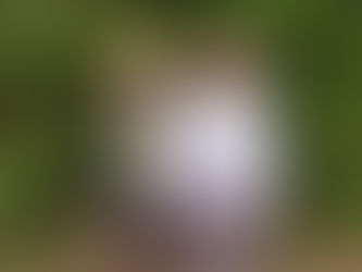 Stars of the Week 7th and 14th May 2021