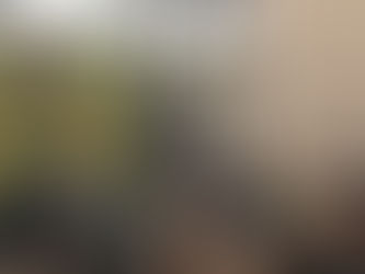 Supersonico ... a little late