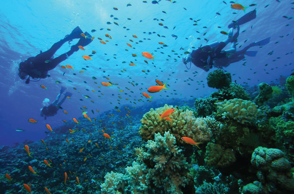 diving
