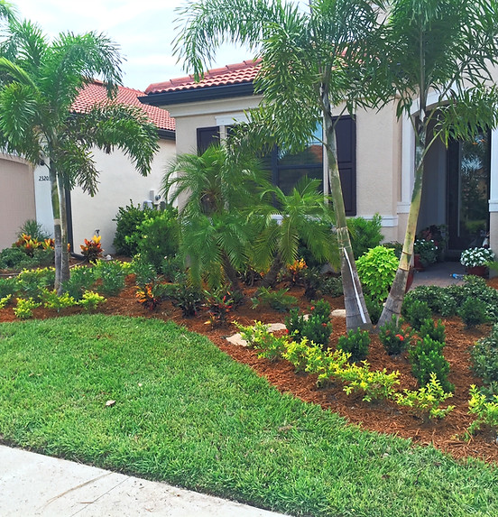 Landscape Installation Residential Front Yard