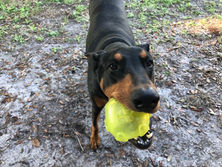 Throw it again!!