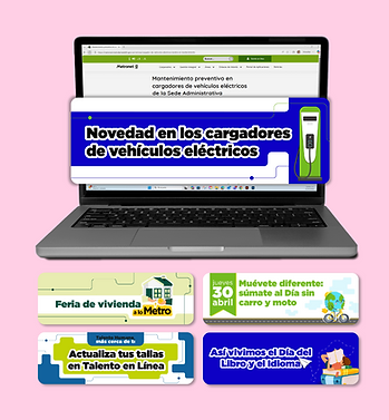 web stefa (2)-04.png