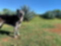 IMG_6904.jpeg